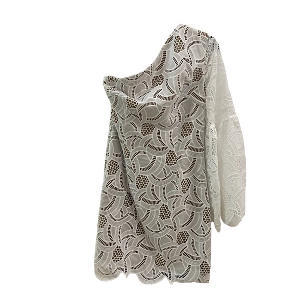 Elliott Descend One Shoulder Dress Lace Bride Ivory White - Picture 4 of 7